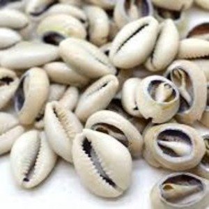 Les dangers cachés des relations avec des « bienfaiteurs »