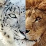 TOURNOIS DANS LE MONDE